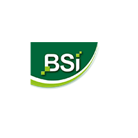 Logo BSI